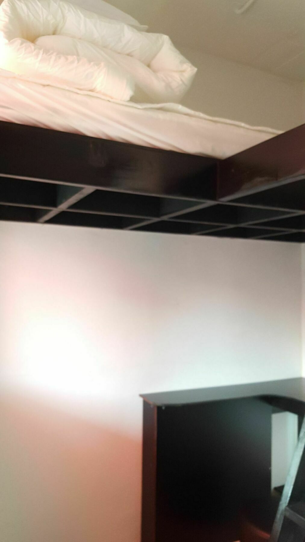 Amazon Guesthouse Séoul Extérieur photo